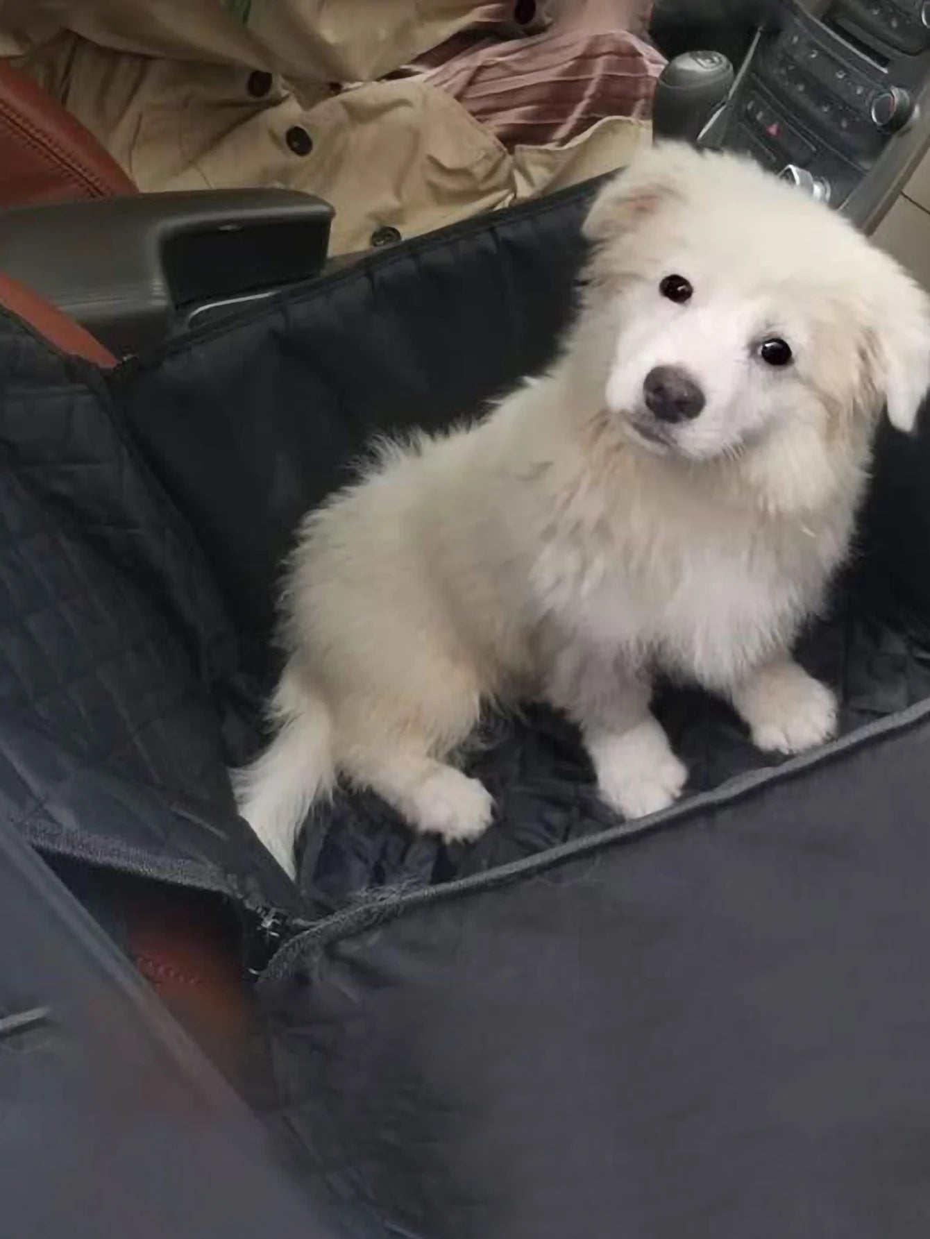 1pc-Multi functional pet car seat cover, suitable for dogs and cats, scratch resistant and dirt resistant, perfect for travel